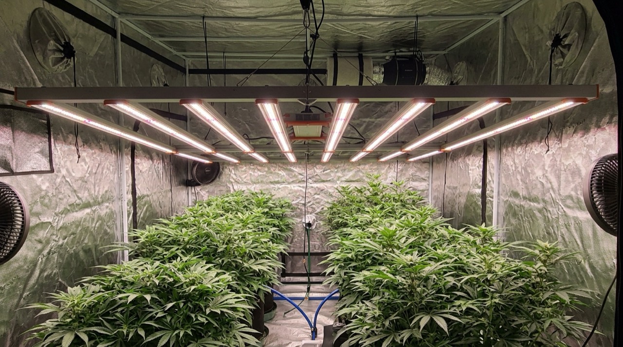 Foldable LED grow light fixture — Grow Lights